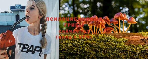 MDMA Premium VHQ Богородицк